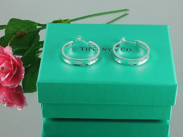 tiffany Earrings-172
